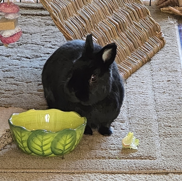 10mm Purple Sugilite Bracelet - Picture 8 of 8